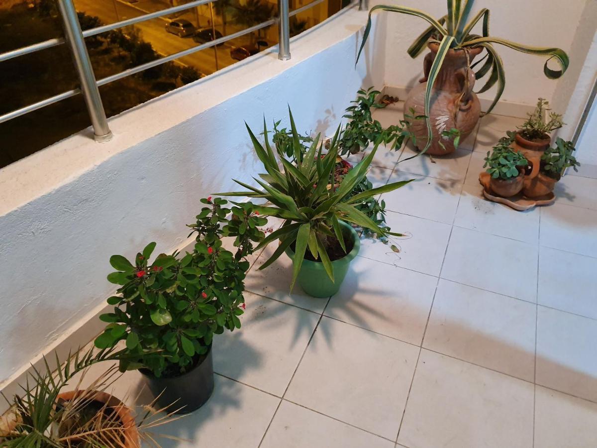 Appartement S+1 Jardin De Carthage Tunis Zewnętrze zdjęcie